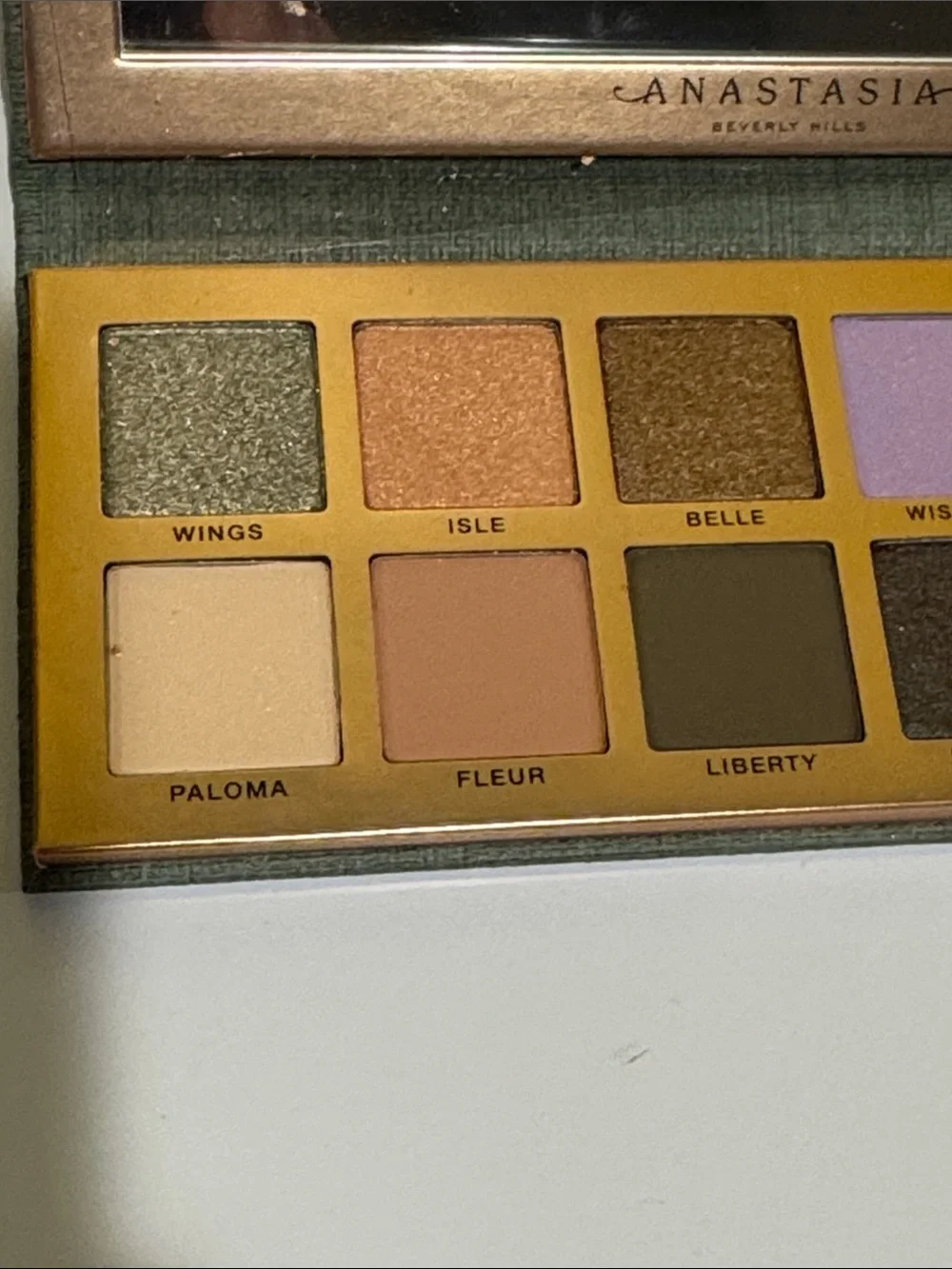 New Anastasia eye shadow and pressed pigment palette.